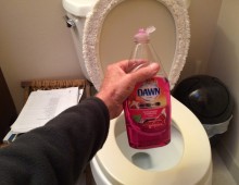 dish soap toilet