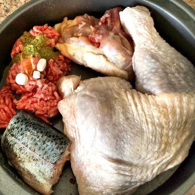Raw Diet for Dogs