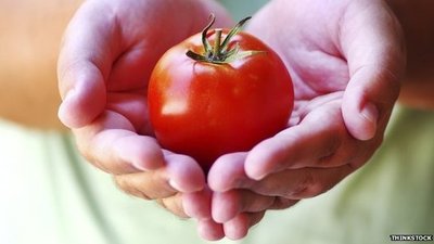 Tomatoes, Can They Fight Cancer?