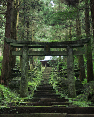 How The Japanese Do It
