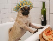 Raw Diet for Dogs