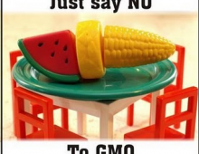 GMO Legal Measures