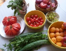 Warm Meals for Cold Nights