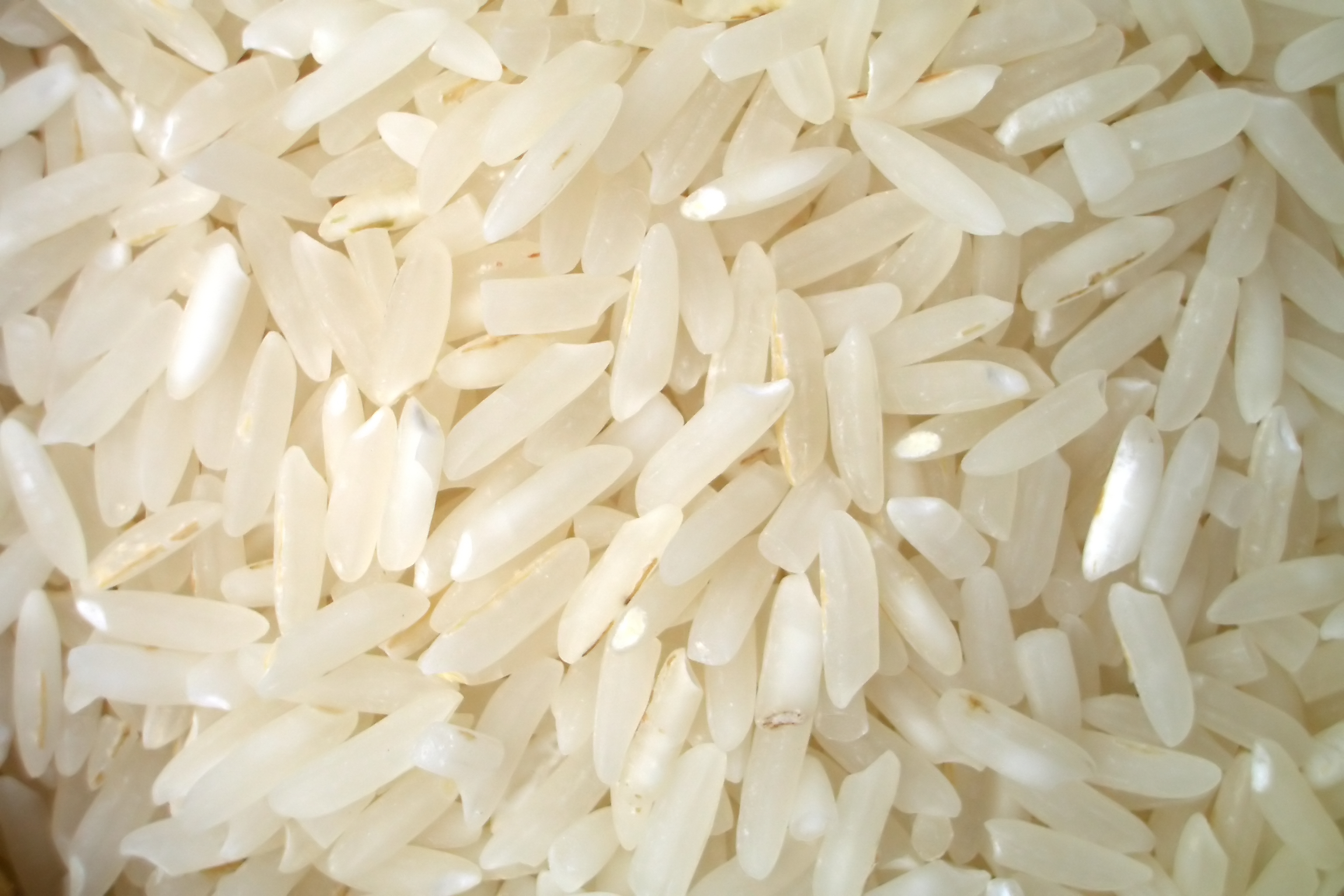 savory seasoned rice