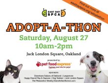 EAST BAY SPCA’S 2016 ADOPT-A-THON IN JACK LONDON SQUARE