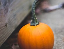 Pumpkin Soup Recipe with a Kick!