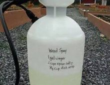 DIY Homemade Weed Killer