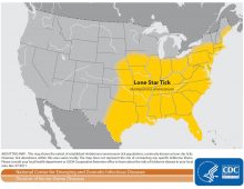 Lone Star tick makes people allergic to red meat with a single bite is spreading.