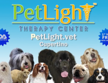 PETLIGHT – Non-Invasive Light Therapy for Pets