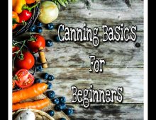 Canning Basics for Beginners