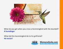 What do you get when you cross a Hummingbird with the doorbell? A humdinger