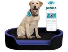 Petrics, World’s First Smart Pet Bed and Pet Health Ecosystem