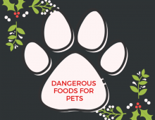 Dangerous Foods For Our Pets