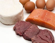 High-Protein Diets and Cancer