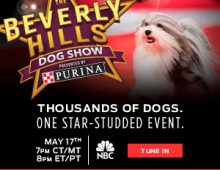 Beverly Hills Dog Show, May 17 on NBC from 8-10 p.m. ET on NBC