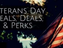 Most Popular Veterans Day 2023 Offers: Free Meals, Freebies, Free Tickets & Admissions and more.